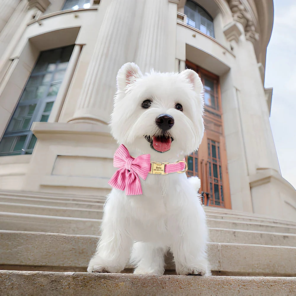 Personalized Dog Collar Big Bowtie