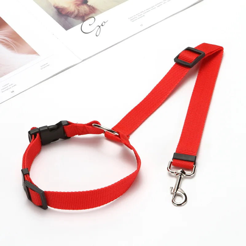 Nylon Pet Seat Belt