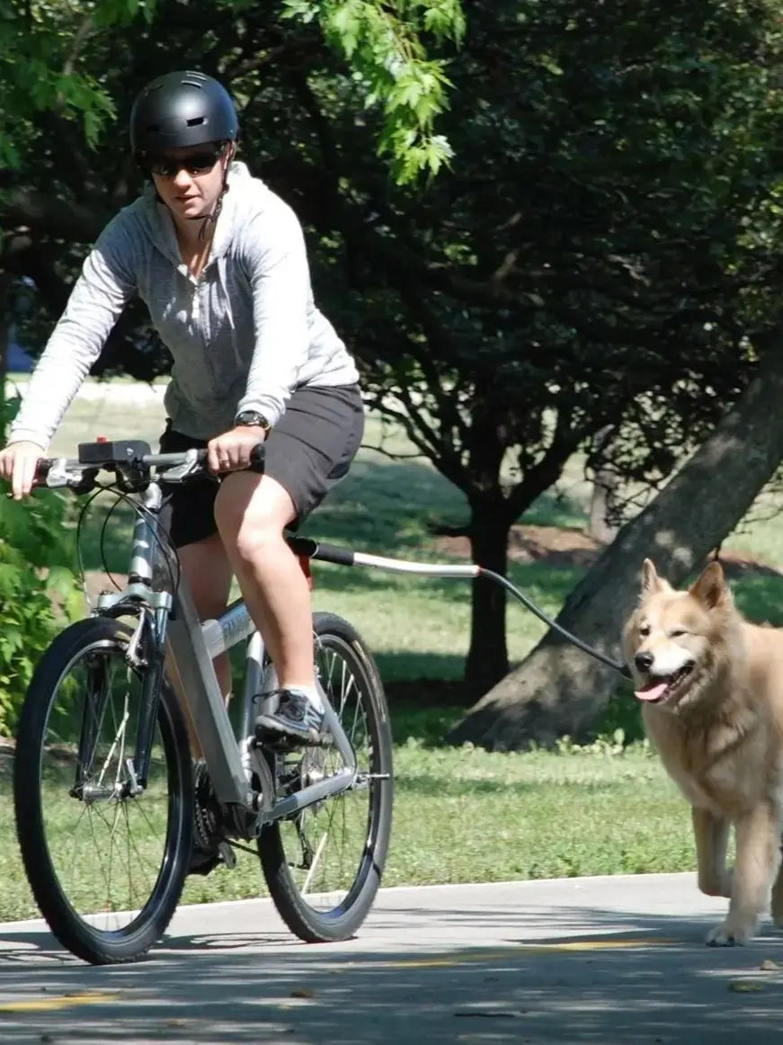 Bicycle Walking Dog Leash