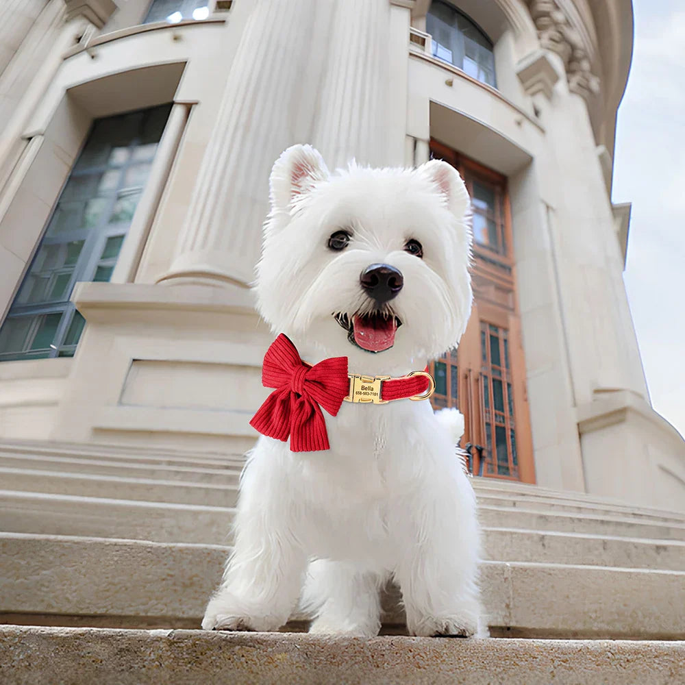 Personalized Dog Collar Big Bowtie